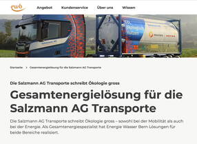 ewb-bericht-gesamtlosung-vorschau.jpg